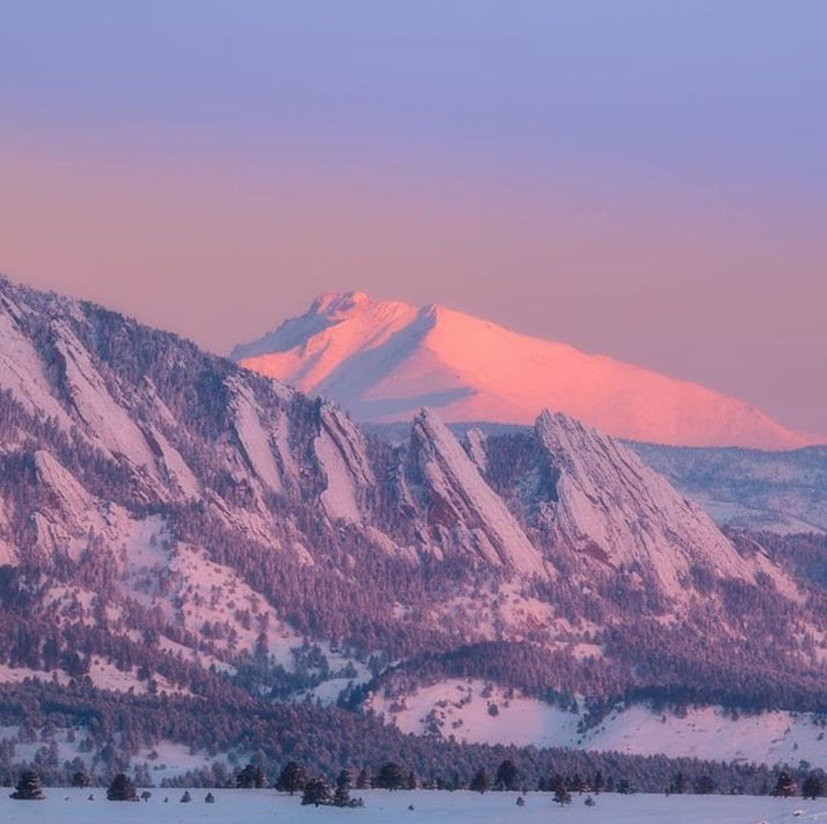 Winter sunrise turning the snow on the Flatirons and Longs Peak pink